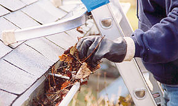 Gutter Cleaning in Orlando FL Gutter Cleaning Services in Orlando FL Cheap Gutter Cleaning in Orlando FL Cheap Gutter Services in Orlando FL Quality Gutter Cleaning in Orlando FL Gutter Cleaning in FL Orlando Gutter Cleaning Services in Orlando FL Gutter Cleaning Services in FL Orlando Gutter Cleaning in FL Orlando Clean the gutters in Orlando FL Clean gutters in FL Orlando Gutter cleaners in Orlando FL Gutter cleaners in FL Orlando Gutter cleaner in Orlando FL Gutter cleaner in FL Orlando Affordable Gutter Cleaning in Orlando FL Cheap Gutter Cleaning in Orlando FL Affordable Gutter Services in Orlando FL